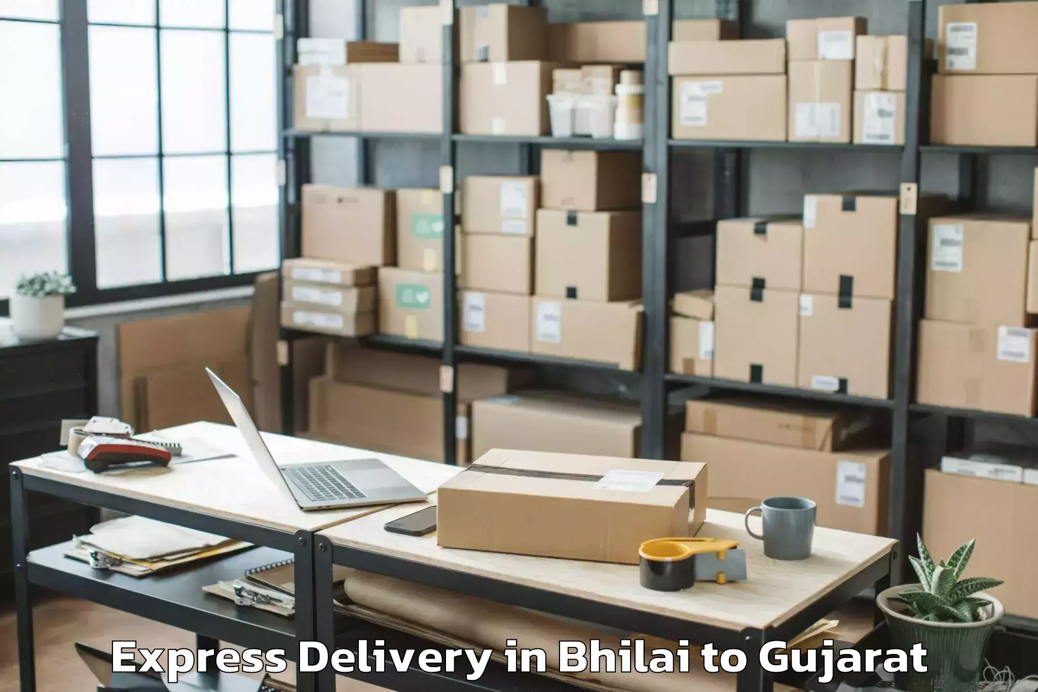 Book Bhilai to Vansada Express Delivery